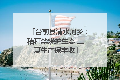 台前县清水河乡：秸秆禁烧护生态 三夏生产保丰收