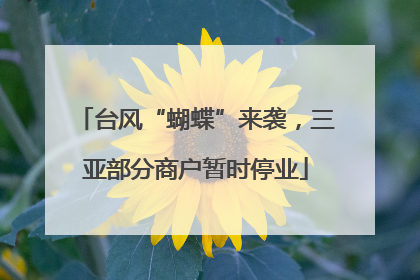 台风“蝴蝶”来袭，三亚部分商户暂时停业