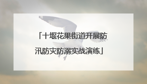 十堰花果街道开展防汛防灾防溺实战演练