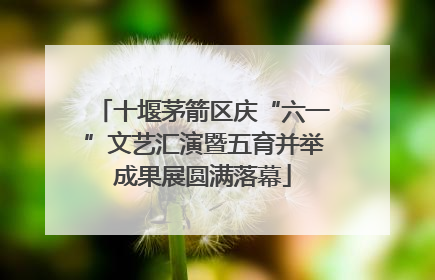 十堰茅箭区庆“六一”文艺汇演暨五育并举成果展圆满落幕