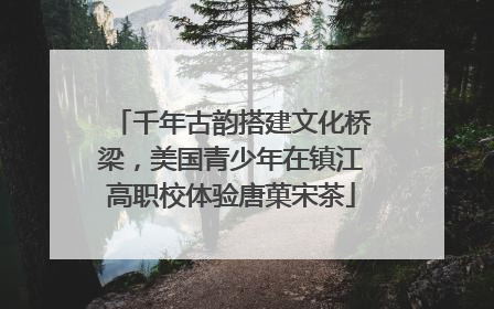 千年古韵搭建文化桥梁，美国青少年在镇江高职校体验唐菓宋茶