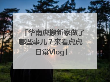 华南虎搬新家做了哪些事儿？来看虎虎日常Vlog