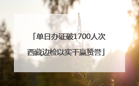 单日办证破1700人次 西藏边检以实干赢赞誉