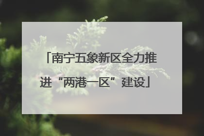 南宁五象新区全力推进“两港一区”建设