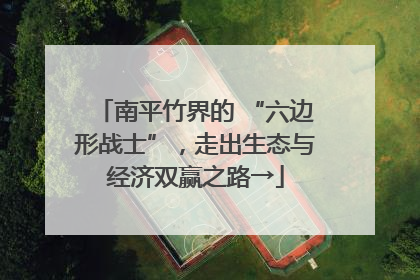 南平竹界的 “六边形战士”，走出生态与经济双赢之路→