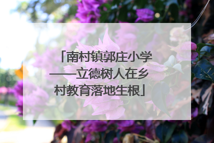 南村镇郭庄小学——立德树人在乡村教育落地生根