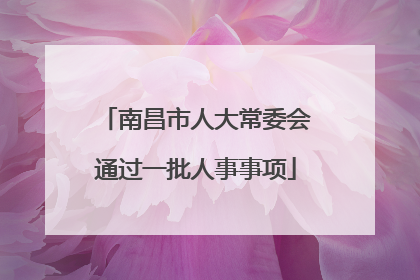 南昌市人大常委会通过一批人事事项