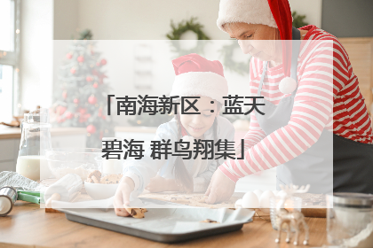 南海新区：蓝天碧海 群鸟翔集