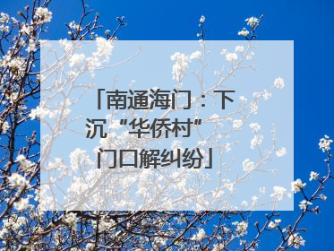南通海门：下沉“华侨村” 门口解纠纷