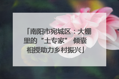 南阳市宛城区：大棚里的“土专家” 倾囊相授助力乡村振兴