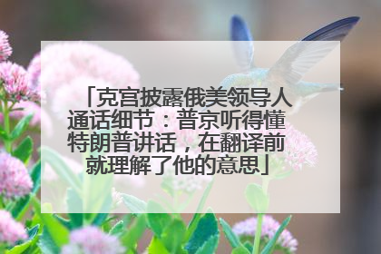 克宫披露俄美领导人通话细节：普京听得懂特朗普讲话，在翻译前就理解了他的意思