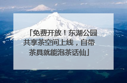 免费开放！东湖公园共享茶空间上线，自带茶具就能泡茶话仙