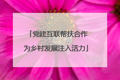 党建互联帮扶合作 为乡村发展注入活力