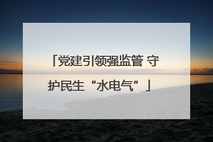 党建引领强监管 守护民生“水电气”