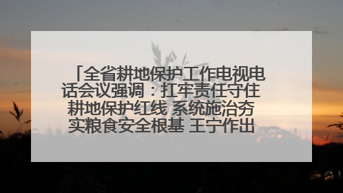 全省耕地保护工作电视电话会议强调：扛牢责任守住耕地保护红线 系统施治夯实粮食安全根基 王宁作出批示 王予波出席并讲话