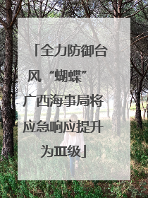全力防御台风“蝴蝶” 广西海事局将应急响应提升为Ⅲ级