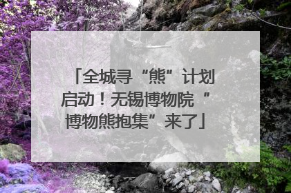 全城寻“熊”计划启动！无锡博物院“博物熊抱集”来了