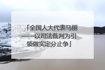 全国人大代表马丽——以司法裁判为引领做实定分止争