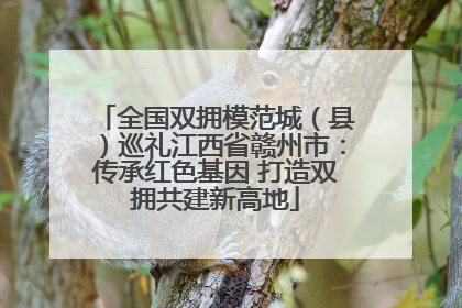 全国双拥模范城（县）巡礼江西省赣州市：传承红色基因 打造双拥共建新高地
