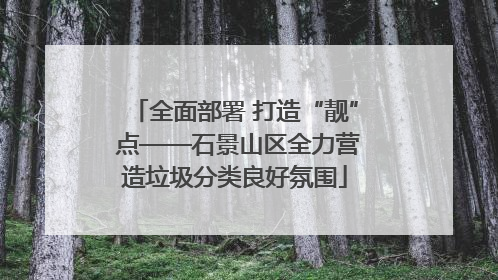 全面部署 打造“靓” 点——石景山区全力营造垃圾分类良好氛围