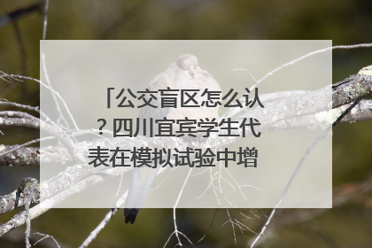 公交盲区怎么认？四川宜宾学生代表在模拟试验中增强乘车安全意识