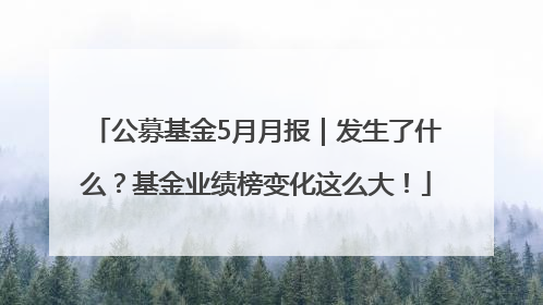 公募基金5月月报｜发生了什么？基金业绩榜变化这么大！