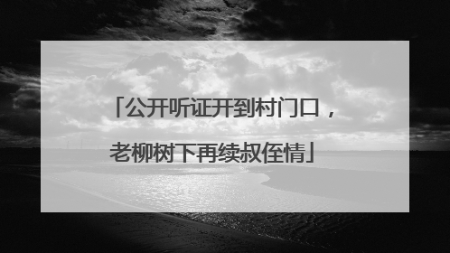 公开听证开到村门口，老柳树下再续叔侄情