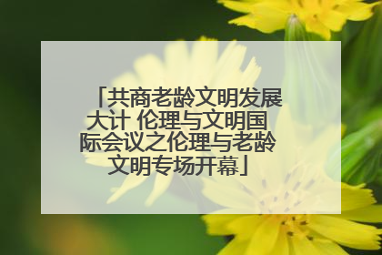 共商老龄文明发展大计 伦理与文明国际会议之伦理与老龄文明专场开幕