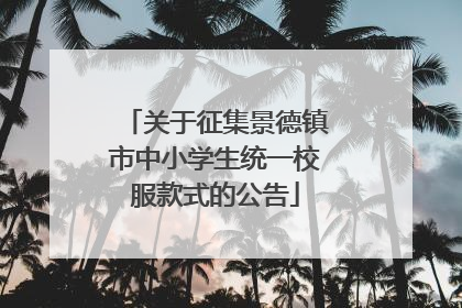 关于征集景德镇市中小学生统一校服款式的公告