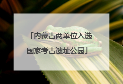 内蒙古两单位入选国家考古遗址公园