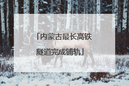 内蒙古最长高铁隧道完成铺轨