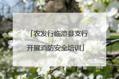 农发行临澧县支行开展消防安全培训