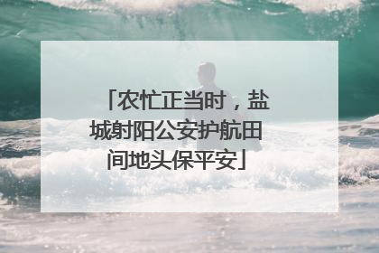农忙正当时，盐城射阳公安护航田间地头保平安
