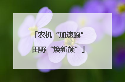 农机“加速跑” 田野“焕新颜”