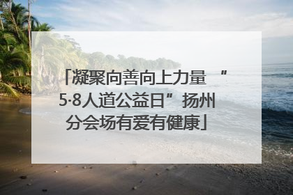 凝聚向善向上力量 “5·8人道公益日”扬州分会场有爱有健康