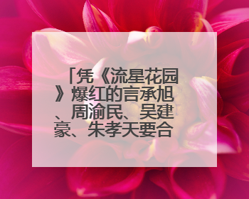 凭《流星花园》爆红的言承旭、周渝民、吴建豪、朱孝天要合体开演唱会？