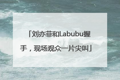 刘亦菲和Labubu握手，现场观众一片尖叫