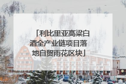 利比里亚高粱白酒全产业链项目落地自贸雨花区块