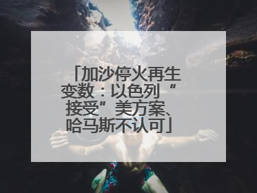 加沙停火再生变数：以色列“接受”美方案、哈马斯不认可