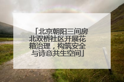 北京朝阳三间房北双桥社区开展花箱治理，构筑安全与诗意共生空间