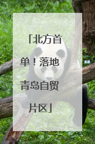 北方首单！落地青岛自贸片区
