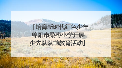 培育新时代红色少年 绵阳市桑枣小学开展少先队队前教育活动