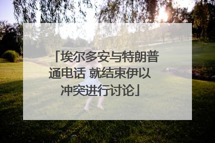 埃尔多安与特朗普通电话 就结束伊以冲突进行讨论
