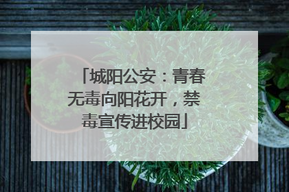 城阳公安：青春无毒向阳花开，禁毒宣传进校园