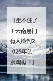 坐不住了！云南易门有人捡到2025年头水鸡枞！