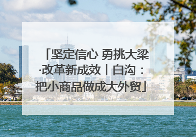 坚定信心 勇挑大梁·改革新成效丨白沟：把小商品做成大外贸