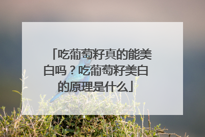 吃葡萄籽真的能美白吗？吃葡萄籽美白的原理是什么