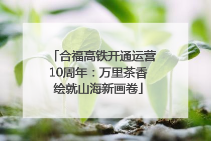 合福高铁开通运营10周年：万里茶香绘就山海新画卷
