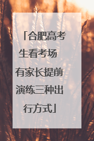 合肥高考生看考场 有家长提前演练三种出行方式