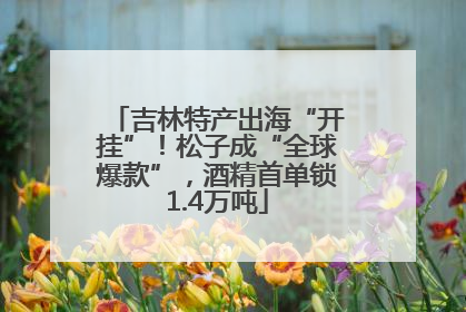 吉林特产出海“开挂”！松子成“全球爆款”，酒精首单锁1.4万吨